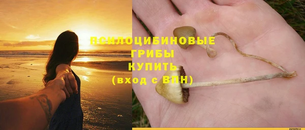 бошки Медногорск