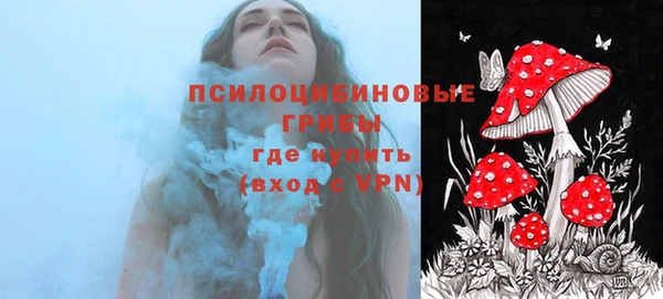 бутират Белокуриха